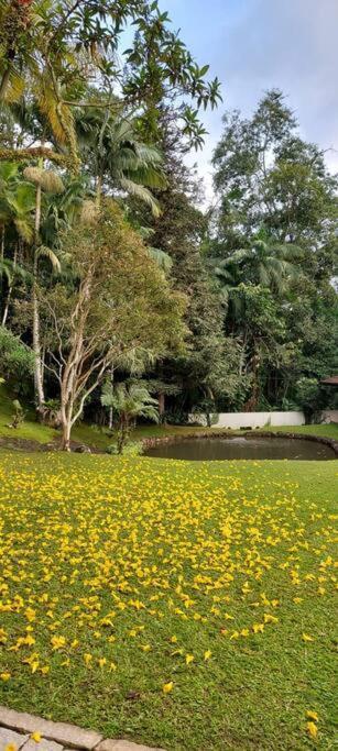 Berghaus - Casa Da Colina Villa Pomerode Dış mekan fotoğraf